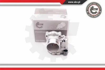 Cuerpo de mariposa Audi A3 · Audi A6 C6 · Audi A3 Sportback