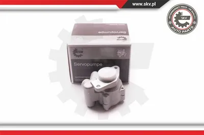 Bomba hidráulica, dirección ESEN SKV 1SKV0010