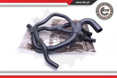 Tubería de radiador Renault KANGOO · Renault CLIO II · Renault KANGOO Express