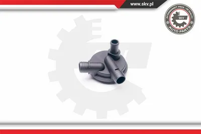 Válvula, ventilación del cárter Vw PASSAT B3/B4 · Vw PASSAT B3/B4 Variant · Vw GOLF IV Cabriolet