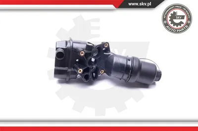 Caja, filtro de aceite Audi A3 · Audi A6 C6 · Audi A3 Sportback
