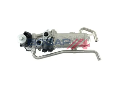 Válvula, reciclaje de gases de escape Skoda ROOMSTER · Skoda FABIA II · Skoda FABIA II Combi