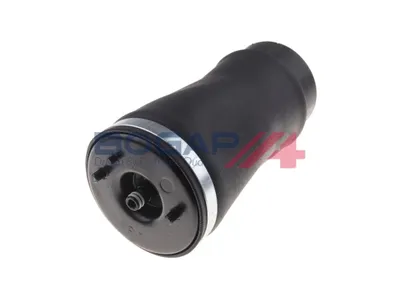 Muelle neumático, suspensión Bmw X5
