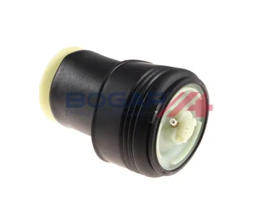 Muelle neumático, suspensión Bmw X5 · Bmw X6