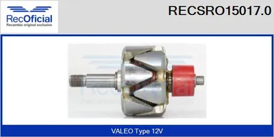 Rotor, alternador