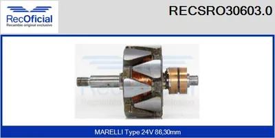 Rotor, alternador