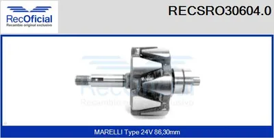 Rotor, alternador