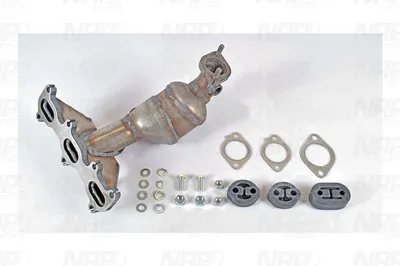 Catalizador NAP carPARTS CAK10356