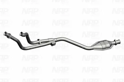 Catalizador NAP carPARTS CAK10461