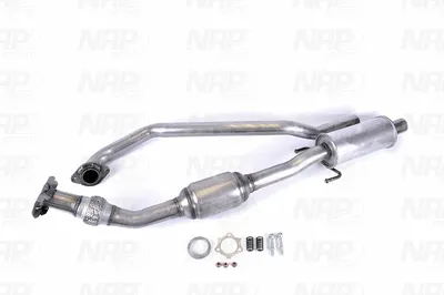 Catalizador NAP carPARTS CAK10725