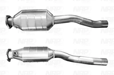 Catalizador NAP carPARTS CAK10899