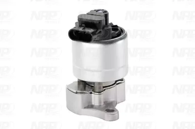 Válvula EGR NAP carPARTS CAV10005