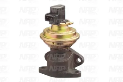 Válvula EGR NAP carPARTS CAV10012