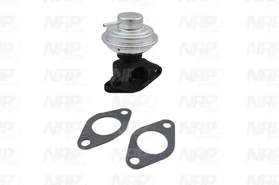 Válvula EGR NAP carPARTS CAV10013