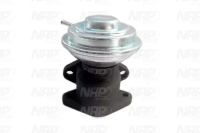 Válvula EGR NAP carPARTS CAV10014