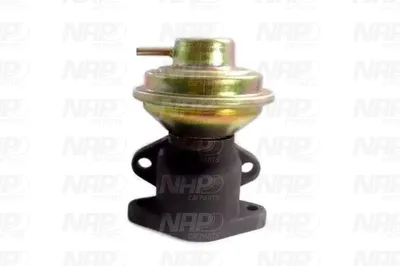 Válvula EGR NAP carPARTS CAV10016