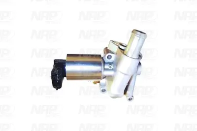 Válvula EGR NAP carPARTS CAV10030