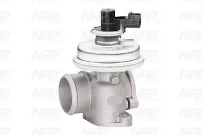 Válvula EGR NAP carPARTS CAV10040