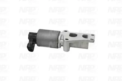 Válvula EGR NAP carPARTS CAV10047