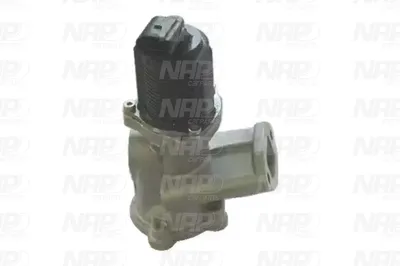 Válvula EGR NAP carPARTS CAV10054