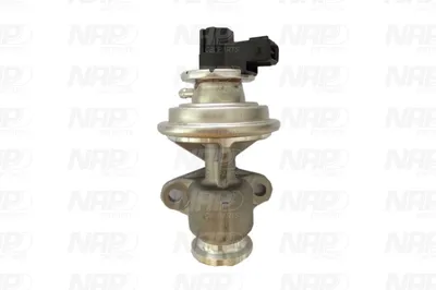 Válvula EGR NAP carPARTS CAV10057