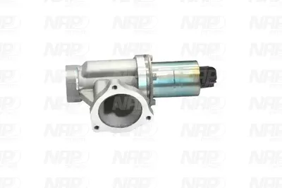 Válvula EGR NAP carPARTS CAV10066