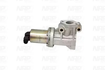 Válvula EGR NAP carPARTS CAV10072