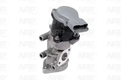 Válvula EGR NAP carPARTS CAV10075