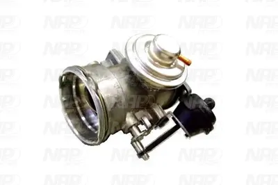Válvula EGR NAP carPARTS CAV10076