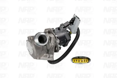 Válvula EGR NAP carPARTS CAV10078