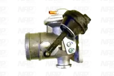 Válvula EGR NAP carPARTS CAV10086