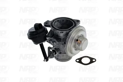 Válvula EGR NAP carPARTS CAV10088