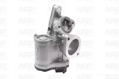 Válvula EGR NAP carPARTS CAV10094