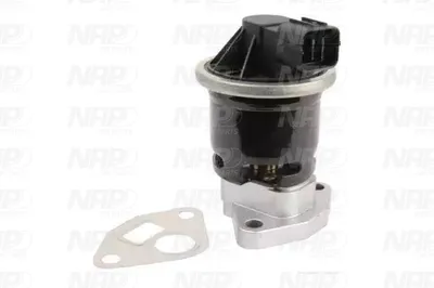 Válvula EGR NAP carPARTS CAV10102