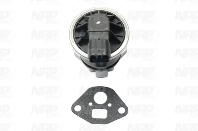 Válvula EGR NAP carPARTS CAV10104