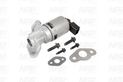 Válvula EGR NAP carPARTS CAV10108