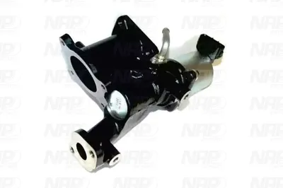 Válvula EGR NAP carPARTS CAV10111
