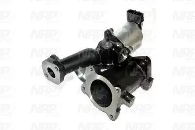 Válvula EGR NAP carPARTS CAV10112