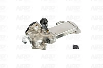 Válvula EGR NAP carPARTS CAV10114