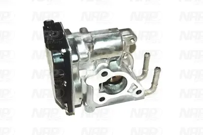 Válvula EGR NAP carPARTS CAV10121