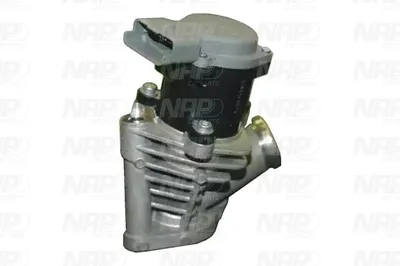 Válvula EGR NAP carPARTS CAV10129