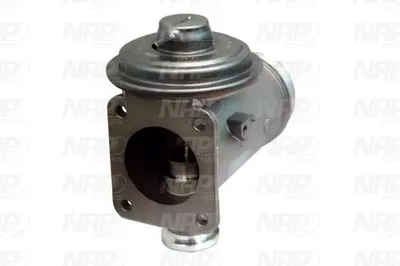 Válvula EGR NAP carPARTS CAV10131