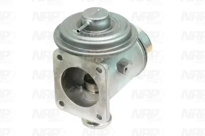 Válvula EGR NAP carPARTS CAV10132