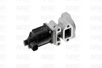 Válvula EGR NAP carPARTS CAV10158