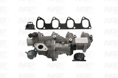 Válvula EGR NAP carPARTS CAV10165