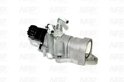 Válvula EGR NAP carPARTS CAV10166