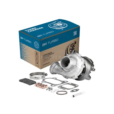 Turbocompresor, sobrealimentación BR Turbo 53169887023RSM