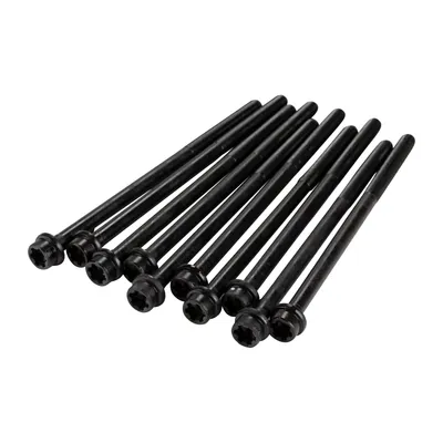 Zylinderkopfschrauben Satz 10 Stück (Ribe CV14 ) (M12X1,25 L=224mm)