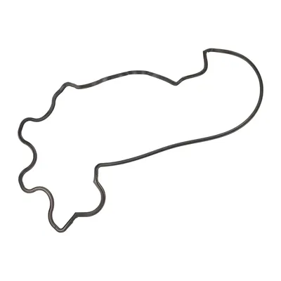 Ventildeckeldichtung