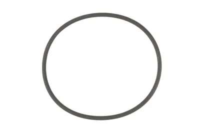 O-Ring 2,62 X 64,77